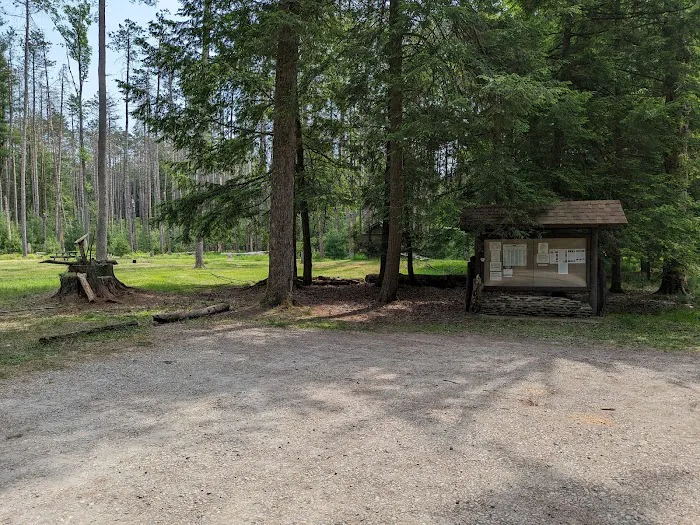 Cook Forest Group Sites Picture 3