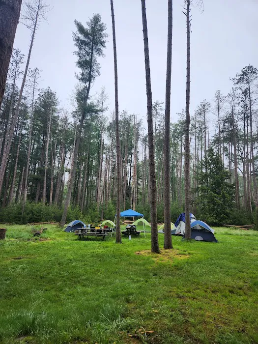 Cook Forest Group Sites Picture 1