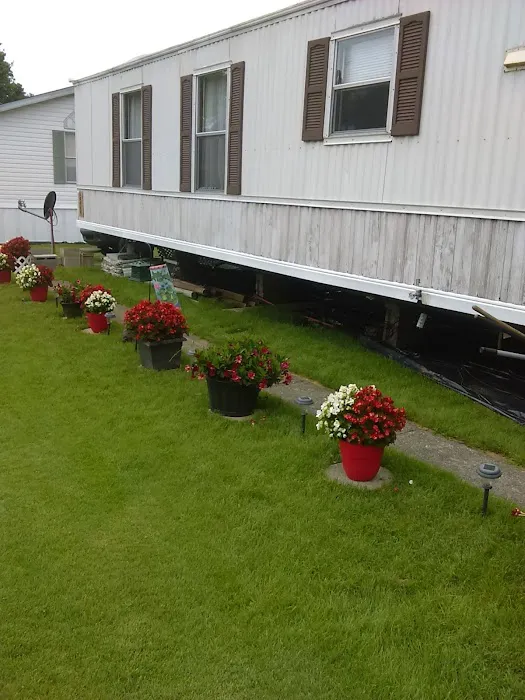 Richwood Villa Mobile Home Pk Picture 4