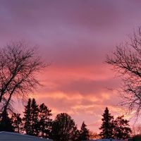 Anoka Acres MHP ico