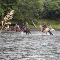 Cook Forest Scenic Trailride, Dude Ranch, and Campground ico