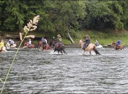 Cook Forest Scenic Trailride, Dude Ranch, and Campground