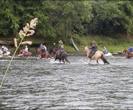 Cook Forest Scenic Trailride, Dude Ranch, and Campground