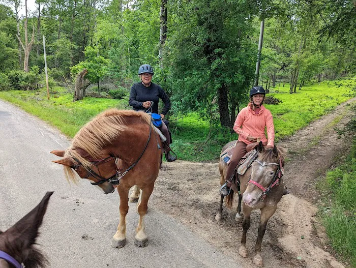 Cook Forest Scenic Trailride, Dude Ranch, and Campground Picture 4