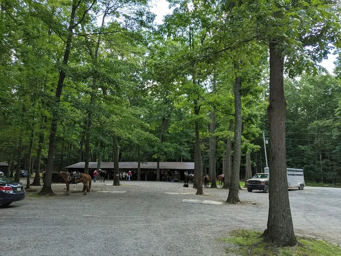 Cook Forest Scenic Trailride, Dude Ranch, and Campground Picture 6