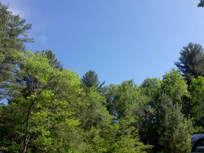 Hemlock Lakes Campground Picture 3