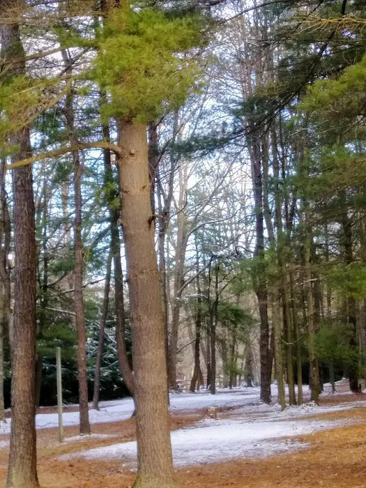 Double R Campground Picture 4