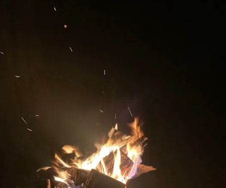 Camp Pugbutt/Sean's camp