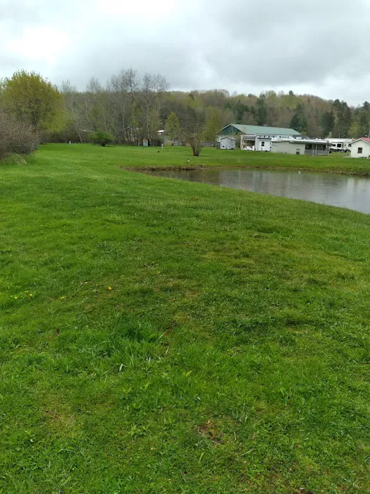 Harecreek Campground Picture 5