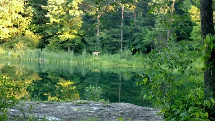 Leisure Lake Campground Picture 2