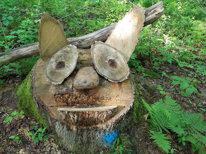 Brushwood Folklore Center, LLC Picture 10