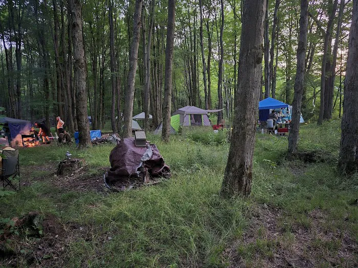 Brushwood Folklore Center, LLC Picture 9