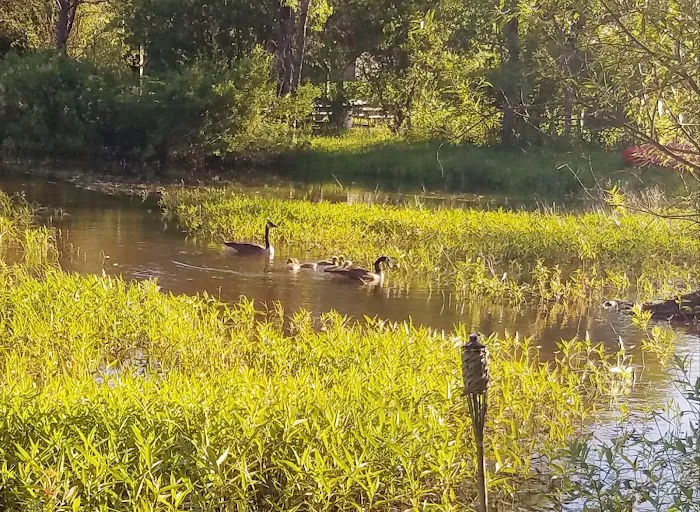 Brushwood Folklore Center, LLC Picture 7