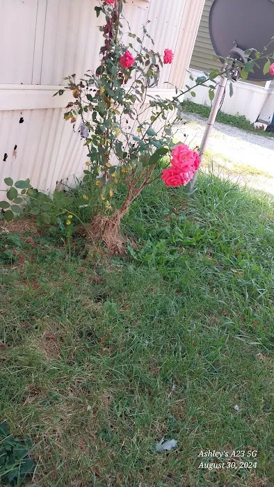 Spring Valley Mobile Home Park Picture 8