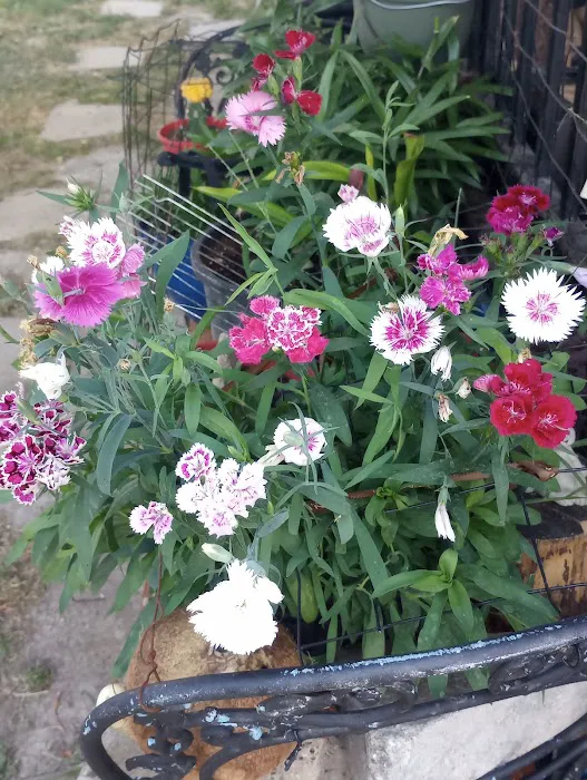 Spring Valley Mobile Home Park Picture 5