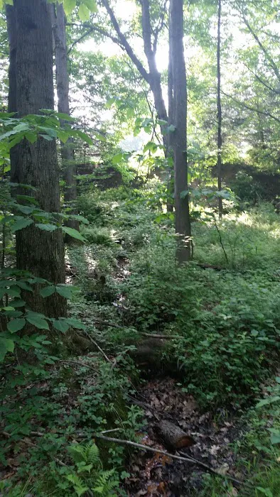Oil Creek Family Campground Picture 7