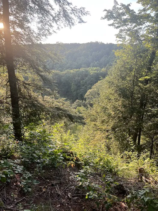 Chautauqua Gorge Campground Picture 7