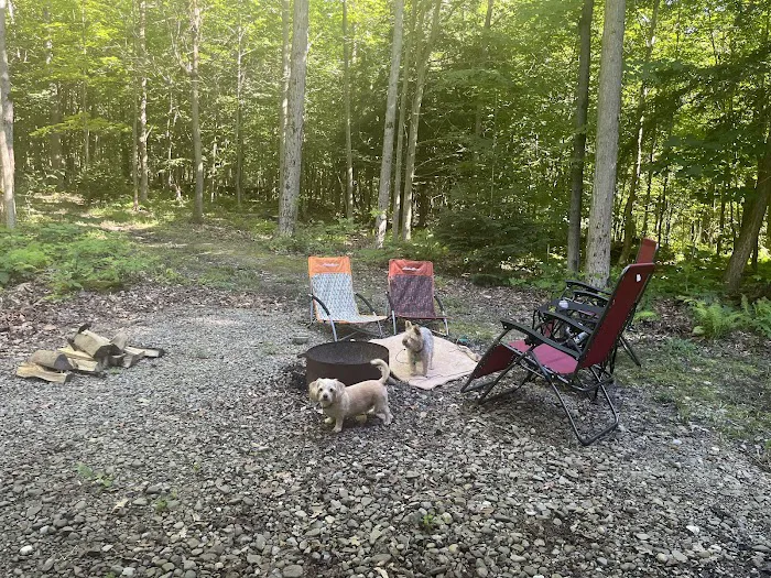 Chautauqua Gorge Campground Picture 5