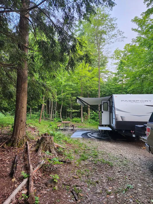Chautauqua Gorge Campground Picture 4