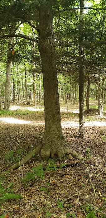 Oxbo Campground Picture 2