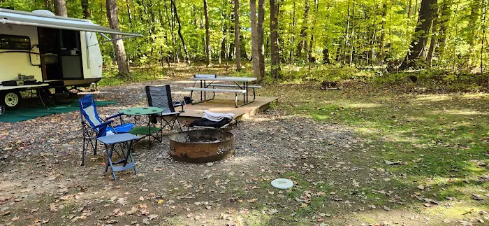 Steelhead Run East Campsite Picture 1