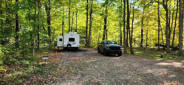 Steelhead Run East Campsite Picture 3