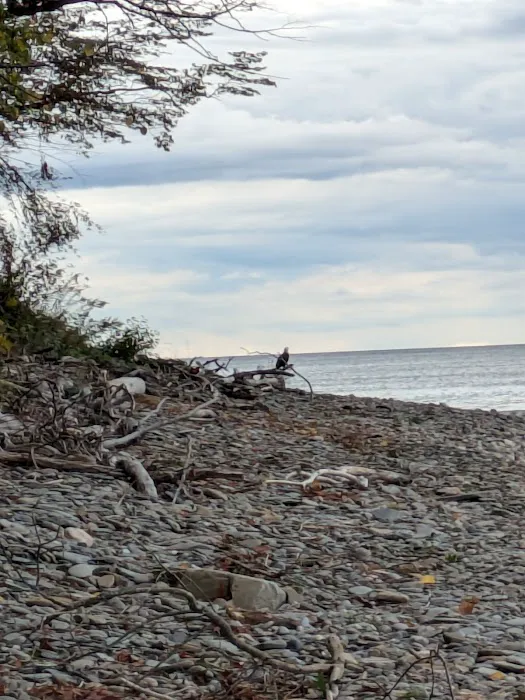 Lakeside Campground Picture 7