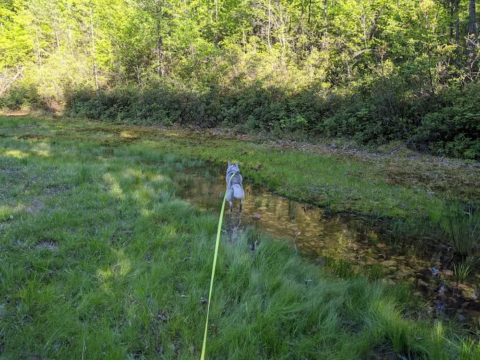 Camp Roosevelt Recreation Area Picture 9