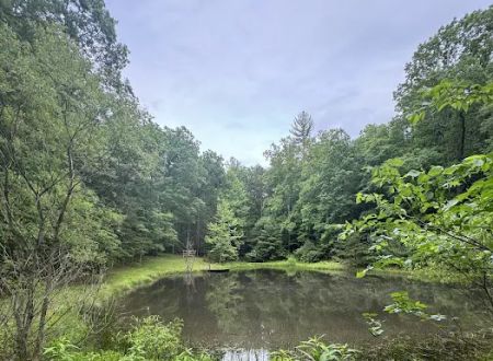 Tomahawk Pond Campground