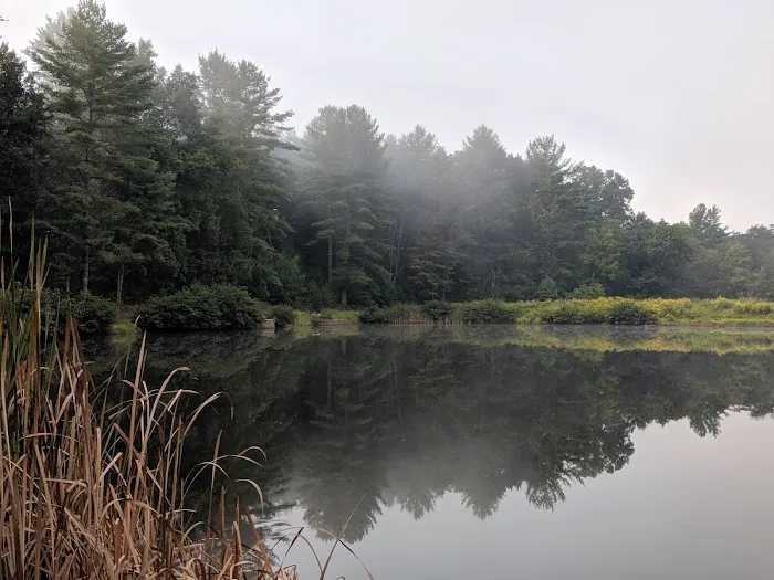 Tomahawk Pond Campground Picture 3