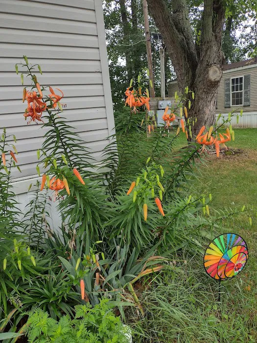 Eagle Lake Estates Picture 8