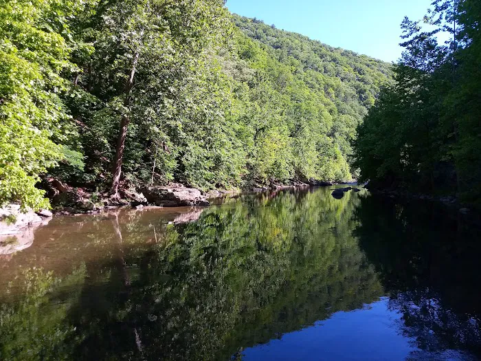 Todd and Angie's River Lot Picture 7