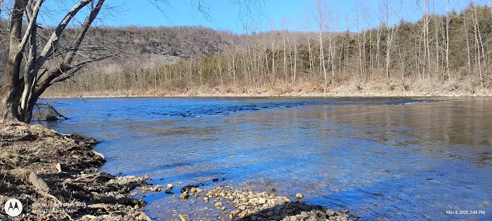 Todd and Angie's River Lot Picture 8