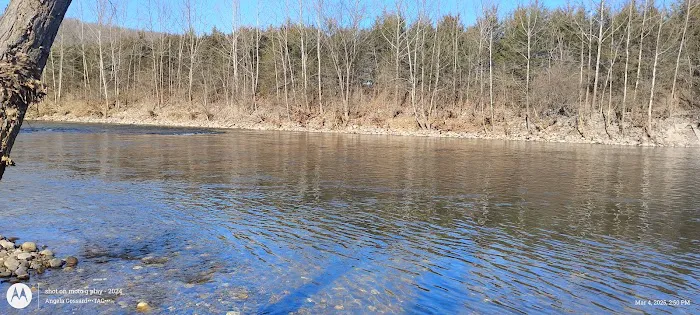 Todd and Angie's River Lot Picture 1