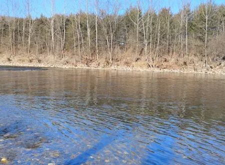 Todd and Angie's River Lot