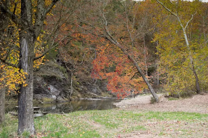 Rivers Edge Campground Picture 2