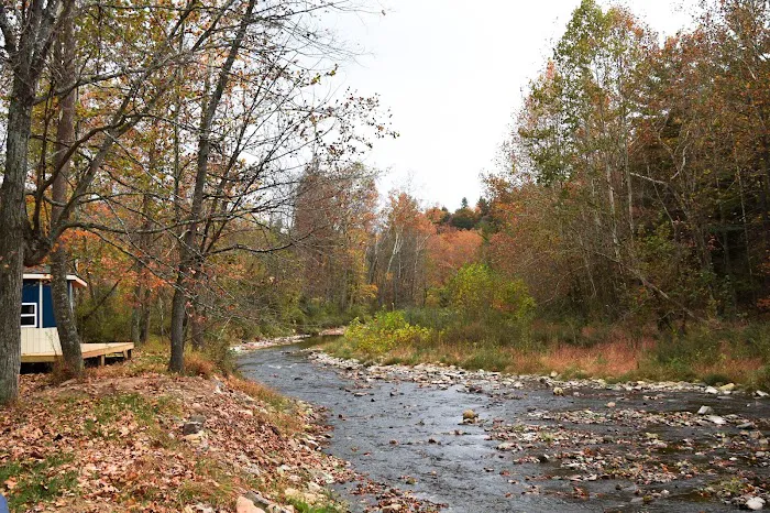 Rivers Edge Campground Picture 10
