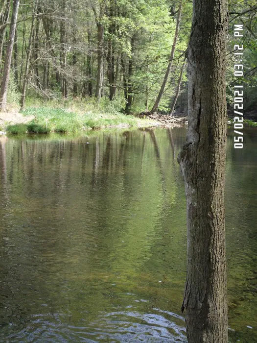 Blue Hole Day Use Area Picture 9