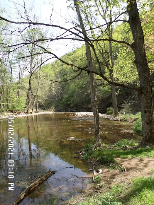 Blue Hole Day Use Area Picture 10