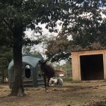 Middle Ridge Campground