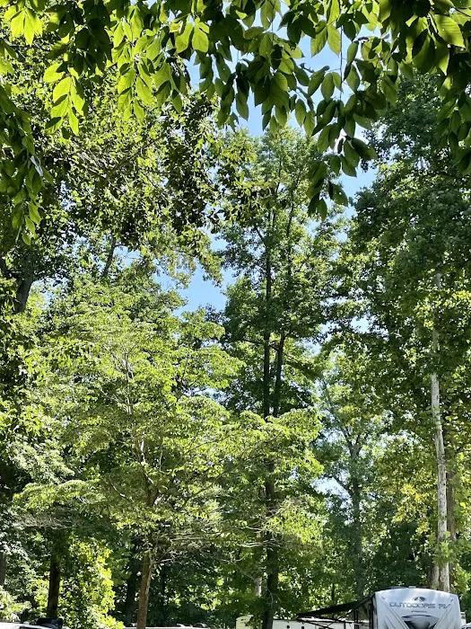 Carter's Cove Campground Picture 3