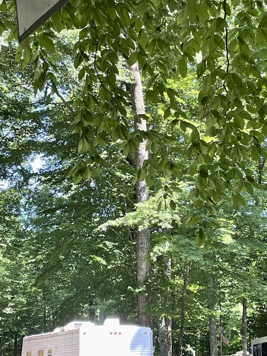 Carter's Cove Campground Picture 1