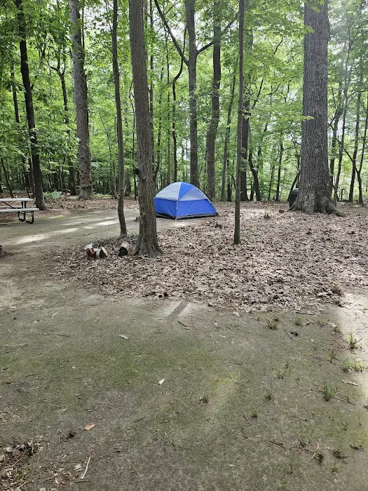 Bethel Recreation Area FAM Camp Langley AFB Picture 10