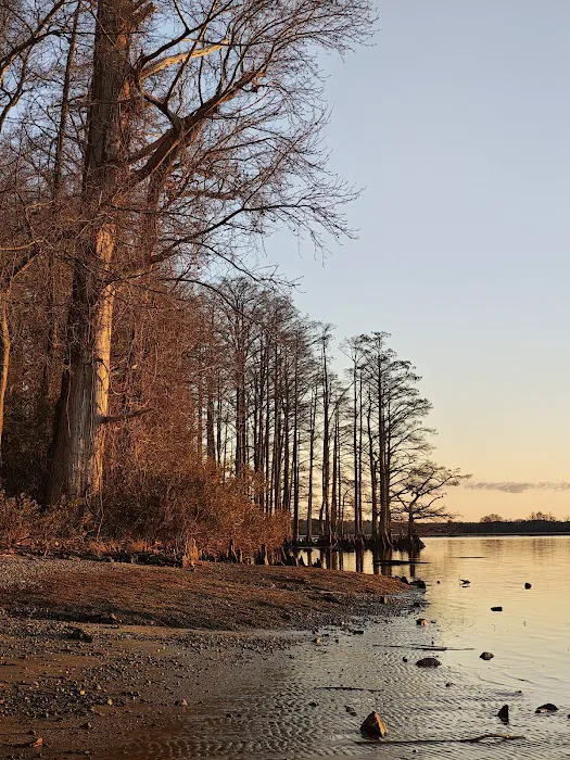 Chickahominy wildlife Management Picture 8