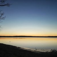 Chickahominy wildlife Management ico