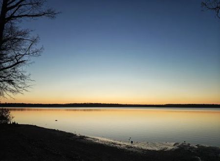 Chickahominy wildlife Management