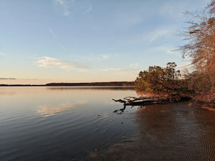 Chickahominy wildlife Management Picture 2