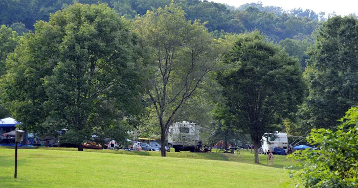 Yough Lake Campground Picture 7