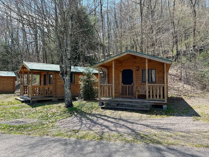 Yough Lake Campground Picture 5