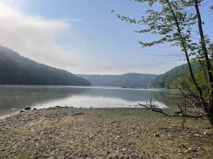 Yough Lake Campground Picture 6